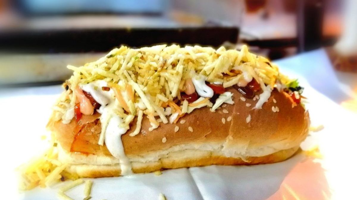 Perro Venezolano